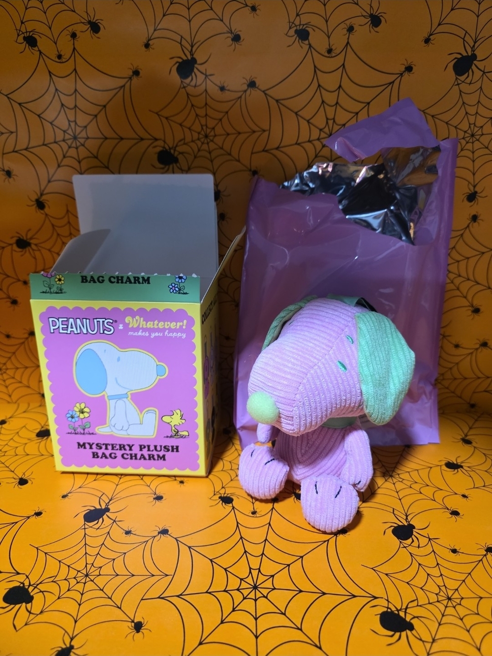 Peanuts Pink & Mint Snoopy Mystery Plush Bag Charm